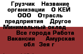 Грузчик › Название организации ­ О’КЕЙ, ООО › Отрасль предприятия ­ Другое › Минимальный оклад ­ 25 533 - Все города Работа » Вакансии   . Амурская обл.,Зея г.